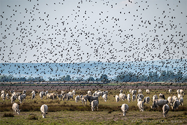 landschaftsfotografie