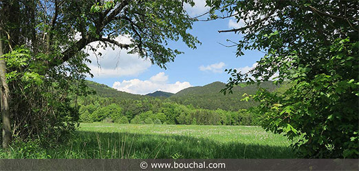 Foto: Robert Bouchal